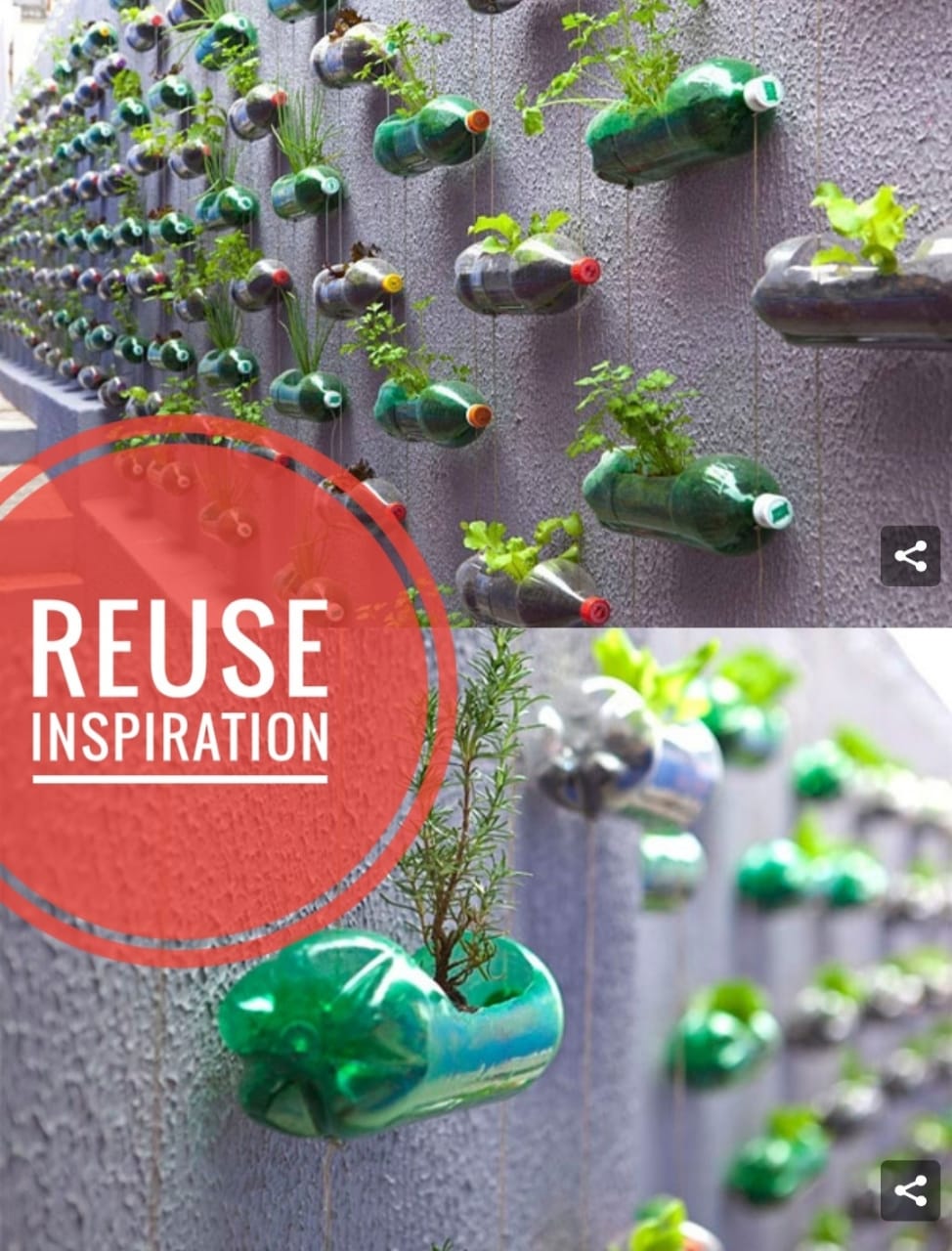 Banner Vertical Garden